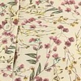 beige-flower branch