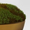 Moss in Gold Bowl - Threshold™: Faux Floral Decor, Ceramic Pot, Indoor Tabletop Display - 3 of 4