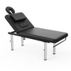 Dolonm 31.5" Stationary Massage Table with Face Pillow and Stainless Steel Adjustable Legs, Adjustable Backrest,Heavy Duty Massage Bed - 3 of 4