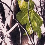 camo, 1 pack