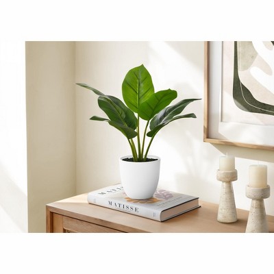 Vynxaria Artificial Plant, Tall, Aureum, Indoor, Faux, Fake, Table, Greenery, Potted, Real Touch, Decorative, Green Leaves, White Pot
