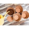 Envelor Coco Coir Seed Starter Pellets for Seed Starter Tray - 3 of 4