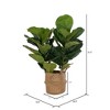 Vickerman Green Fiddle Leaf in Woven Basket - 3 of 4