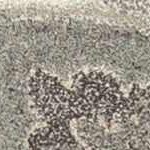 taupe, charcoal, black, tan, light beige