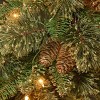 National Tree Company 9 ft. Golden Bristle Garland with Clear Lights - 3 of 4