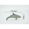 Collectible Wildlife Gifts | White Sided Dolphin, Bottlenose, High Quality, Hand Painted, Rubber, Realistic Figure, Model,  Toy, Gift,  3" CH543 BB159 - 3 of 4
