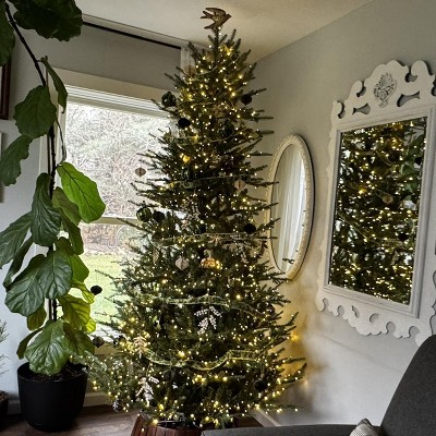 Guest review image 3 of 3, zoom in