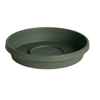 Bloem Terratray 2 in. H X 11.25 in. D Resin Traditional Tray Thyme Green Bloem Terratray 2 in. H X 11.25 in. D Resin Traditional Tray Thyme Green