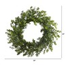 Nearly Natural 24” Eucalyptus Artificial Wreath - 3 of 3