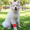 Juvale 12 Pack Self Adhesive Bandage Wrap Rolls, Adherent Cohesive Bandage for, Sports, Stretch Vet Wrap for Animals, 2 Inch x 6 Yards, 6 Colors - 2 of 4
