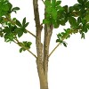 SEVOBAL Artificial Plants 76" Enkianthus Tree Pre-Potted Faux Greenery for Stylish Home Office Decor, Green, 34.5"*34.5"*76" - 2 of 4