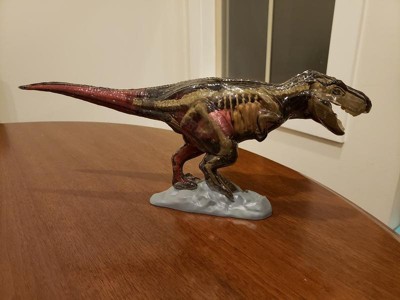 Trousse d'anatomie de tyrannosaure rex Discovery #Mindblown 4D, 6 ans et  plus