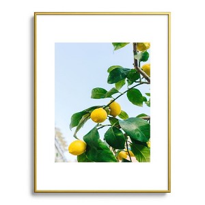 Bethany Young Photography Amalfi Coast Lemons 18"x24" Gold Metal Framed Art Print - Deny Designs - 1 of 4