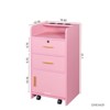 SKRAN Beauty Salon Storage Cabinet with Hair Dryer Holder - Pink MDF, 16.93"L x 13.78"W x 31.10"H, Stylish and Practical Equipment for Stylists - 3 of 4