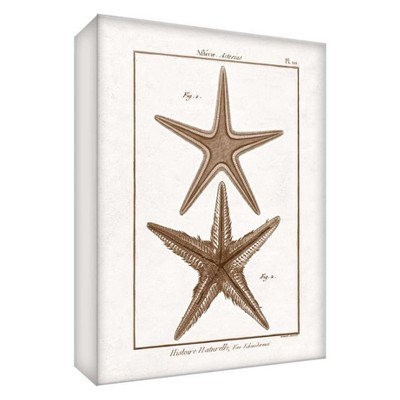 11" x 14" Sea Starfish Decorative Wall Art - PTM Images