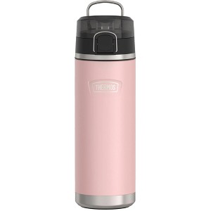 Thermos 24 oz. Icon Vacuum Insulated Stainless Steel Spout Water Bottle - 1 of 2