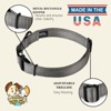 Country Brook Petz Premium Nylon Dog Collar with Metal Buckle for Small Medium Large Breeds - Vibrant 30+ Color Selection - 4 of 4