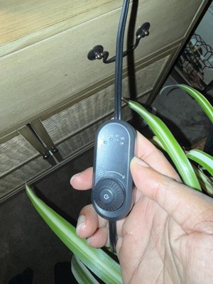 Guest review image 3 of 6, zoom in