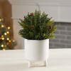 Festive Arborvitae Half Orb Holiday Greenery – 8.5" by Melrose - 2 of 3