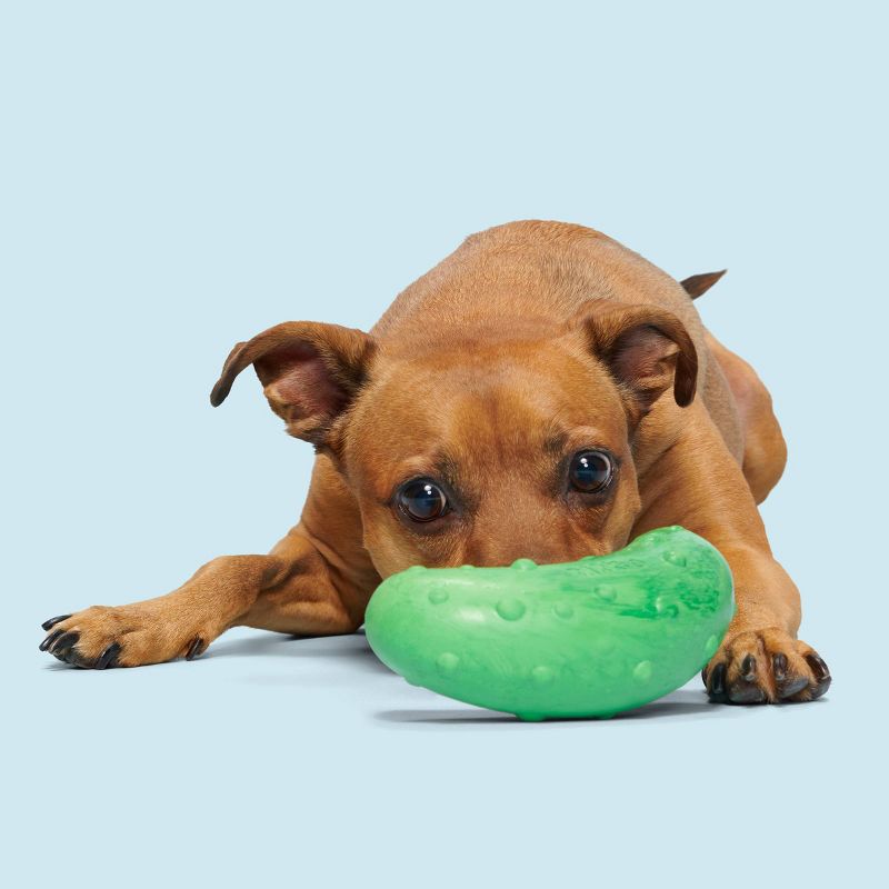 BARK Pickle Dog Toy, 5 of 8