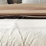 walnut wood