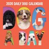 TF Publishing 13.5"x14.5" 2026 Dog-A-Day Wall Calendar - 2 of 4