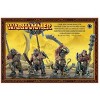 Ironguts Ogor Mawtribes Warhammer Age Of Sigmar - 3 of 3