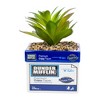 Silver Buffalo The Office Dunder Mifflin Paper Box Ceramic Planter with Artificial Succulent - 2 of 4