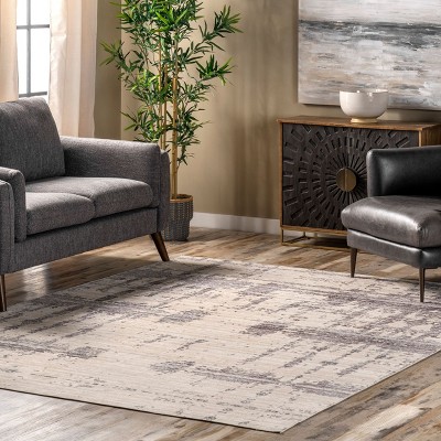 Eco-Friendly Ariana Abstract Gray Synthetic Area Rug 4' x 6'