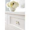 Amerock Kane Cabinet or Furniture Knob - 2 of 4