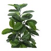 Gulches 52in Artificial Rubber Tree in Pot 72 Real Touch Green Leaves 52in Tall Indoor Floor Faux Plant - 3 of 4