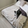 Kritter Planet King Size Waterproof Pets Blanket for Dogs, 100% Leakproof Bed Cover, Reversible Protector for Couch Furniture, Washable, Stain Proof - 4 of 4