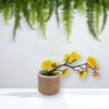Unique Bargains Artificial Plants Golden Plum Blossom in Cloth Pot Plastic 4.72"x4.72"x11.42" 1 Pcs - 2 of 4
