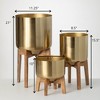 Sullivans Brass Planter Trio On Stands Set of 3, 21"H, 15.5"H & 10"H Gold - 4 of 4