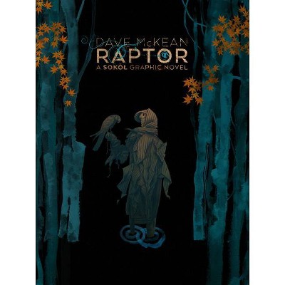 Raptor: A Sokol Graphic Novel - by  Dave McKean (Paperback)