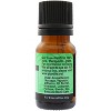 Plantlife Pine Essential Oil – 100% Pure & Therapeutic Grade – Natural, Undiluted & Steam-Distilled – No Additives or Fillers – 10ml Aromatherapy - 2 of 2