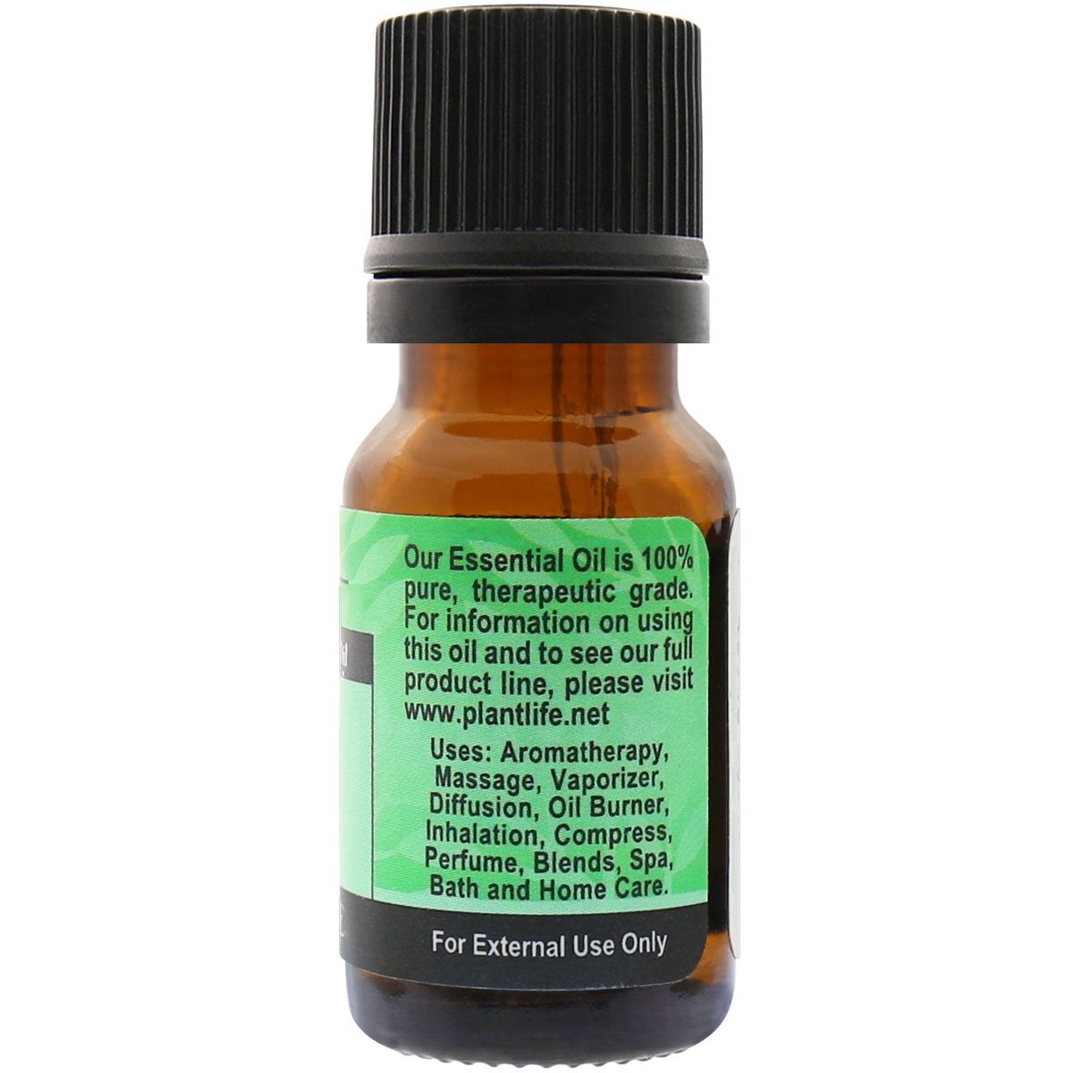 Plantlife Pine Essential Oil – 100% Pure & Therapeutic Grade – Natural, Undiluted & Steam-Distilled – No Additives or Fillers – 10ml Aromatherapy - thumbnail 2