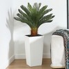 Kazeila 4ft UV Resistant Artificial Cycas Tree with Planter, Big Pre Potted Sago Palm Tree (Indoor/Outdoor) for Office House Decor - 4 of 4