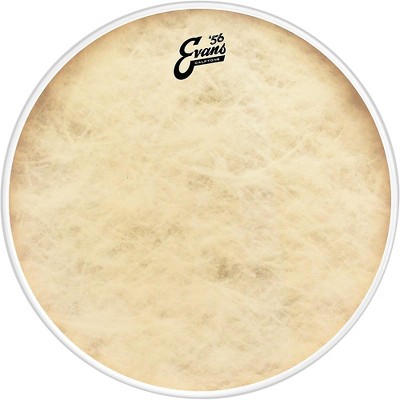 EVANS Calftone Tom Drumhead 16 in.