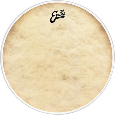 Evans Calftone Tom Drumhead 16 in.