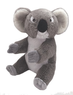 koala soft toys