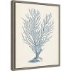 Amanti Art Antique Coral Collection II by Vision Studio Canvas Wall Art Print Framed 16 x 20-in. - 3 of 4