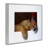 Stupell Industries Wild Cougar Resting Head Interesting Illusion Painting Framed Giclee Art - 2 of 4
