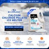 Snow Joe Melt-2-Go Calcium Chloride Crystal Ice Melter, 10 lb - 2 of 4