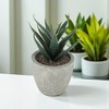 Unique Bargains Artificial Plants Mini Serrated Edge Aloe in Pulp Plastic 3.54"x3.54"x4.72" 1Pcs - 2 of 4