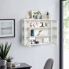 GlasFlength Kitchen Storage Kitchen Pantry Wall Cabinet Cupboard Food Pantry Cabinet with Glass Doors for Kitchen, White, 27.56"*9.06"*23.62" - 3 of 4