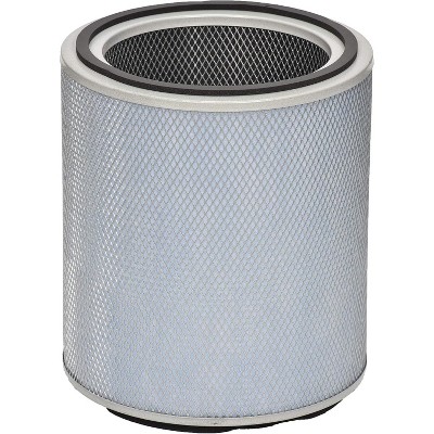 Austin Air FR405B Standard Allergy/HEGA Allergy Machine Filter, White