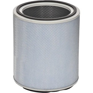 Austin Air FR405B Standard Allergy/HEGA Allergy Machine Filter, White - 1 of 1