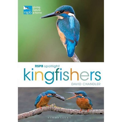 Rspb Spotlight Kingfishers - by  David Chandler (Paperback)