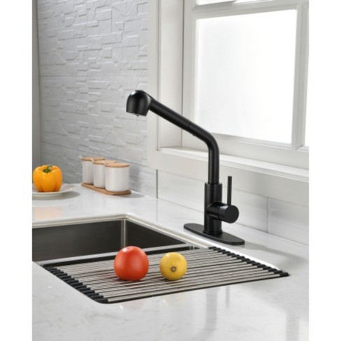 Single-Handle Kitchen Faucet with Pull-Down Sprayer and Pull-Out Option - image 1 of 4